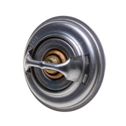 27/143-63 TERMOSTATS 3637649M1,47107734 SISU/STEYR