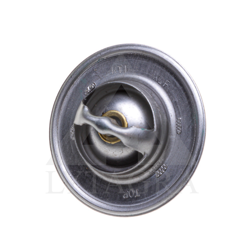 30/143-5 TERMOSTATS MF 1446127M91, 1645922M2
