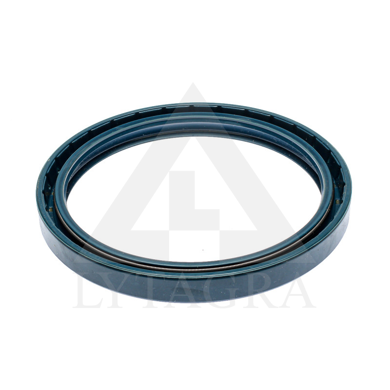 29/1520-049 BLĪVSLĒGS 100x120x12 MM