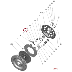 85-1601096 PIRkSTS