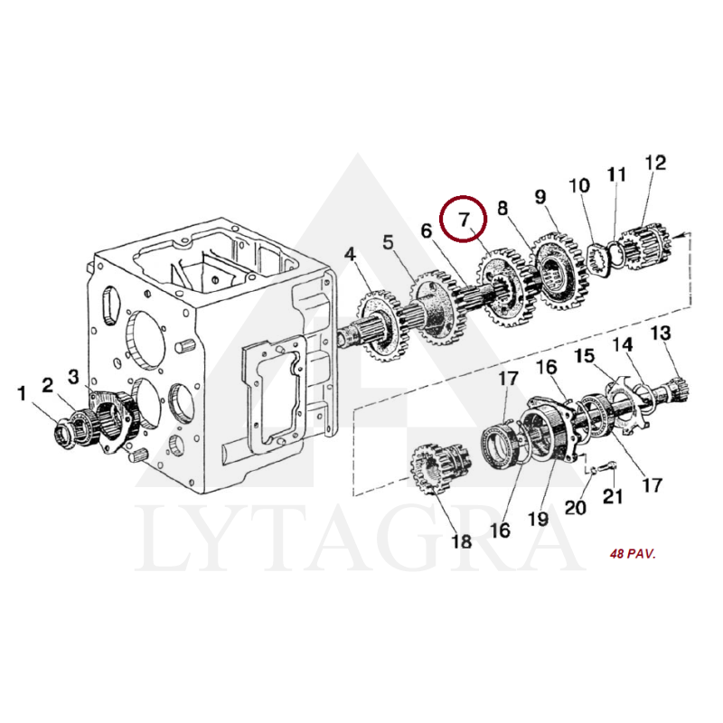 50-1701214 ZOBRATS 3.ĀTR.