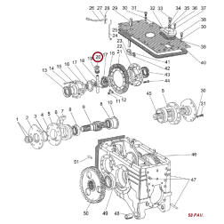 85-2403025 PAPLĀKSNE AIZM.T.