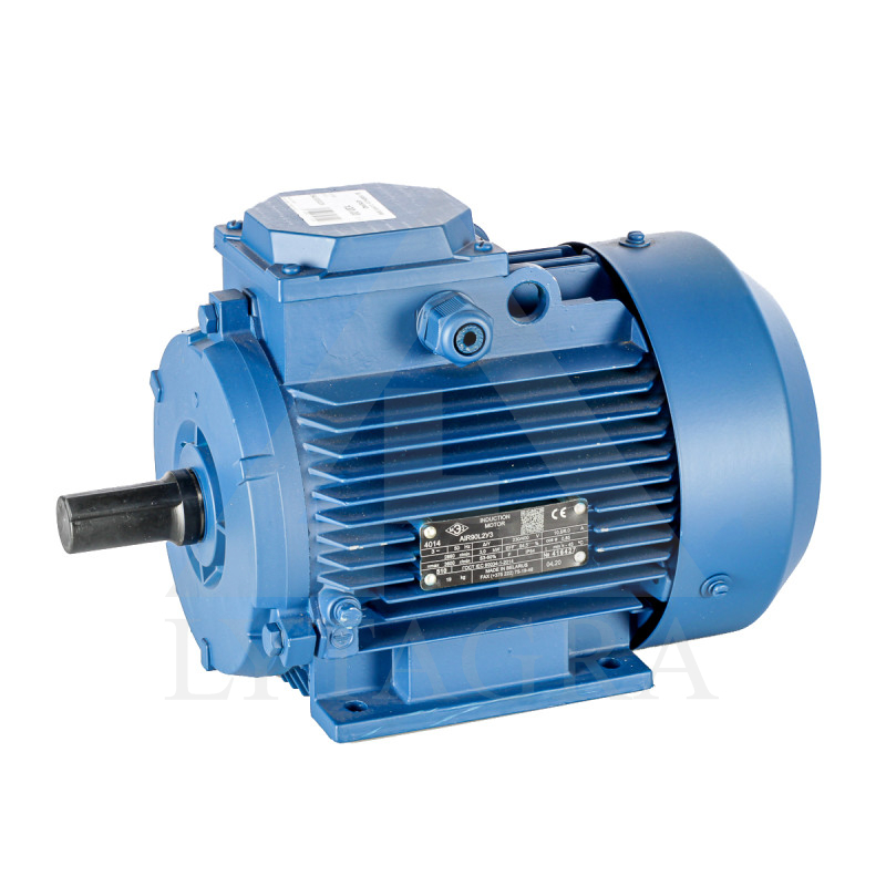 EL.DZINĒJS  3.0 KW 3000 APS/PAD
