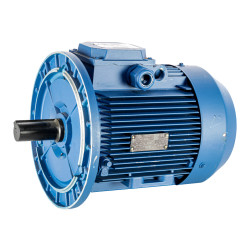 EL.DZINĒJS 4.0KW1000 FL