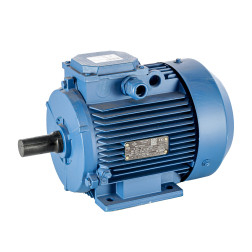 EL.DZINĒJS  4.0 KW 3000 APS/PAD