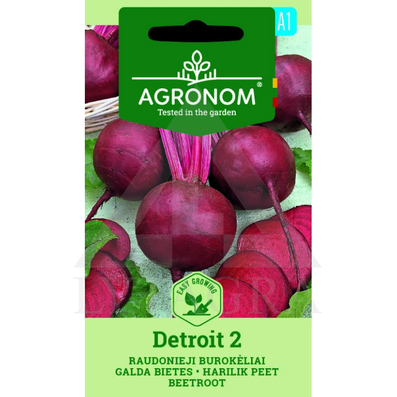 AGR  GALDA BIETES SĒKLA DETROIT 2