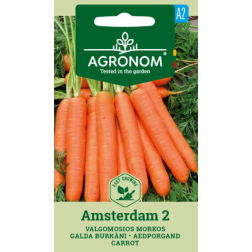 AGR BURKĀNU SĒKLA AMSTERDAM 2