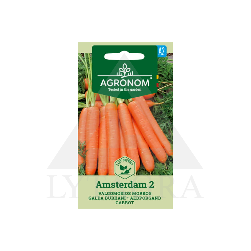 AGR BURKĀNU SĒKLA AMSTERDAM 2