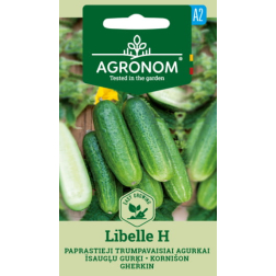 AGR GURĶI ĪSIE  LIBELLE 1G