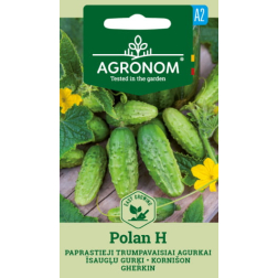 AGR GURĶU SĒKLAS POLAN 1G