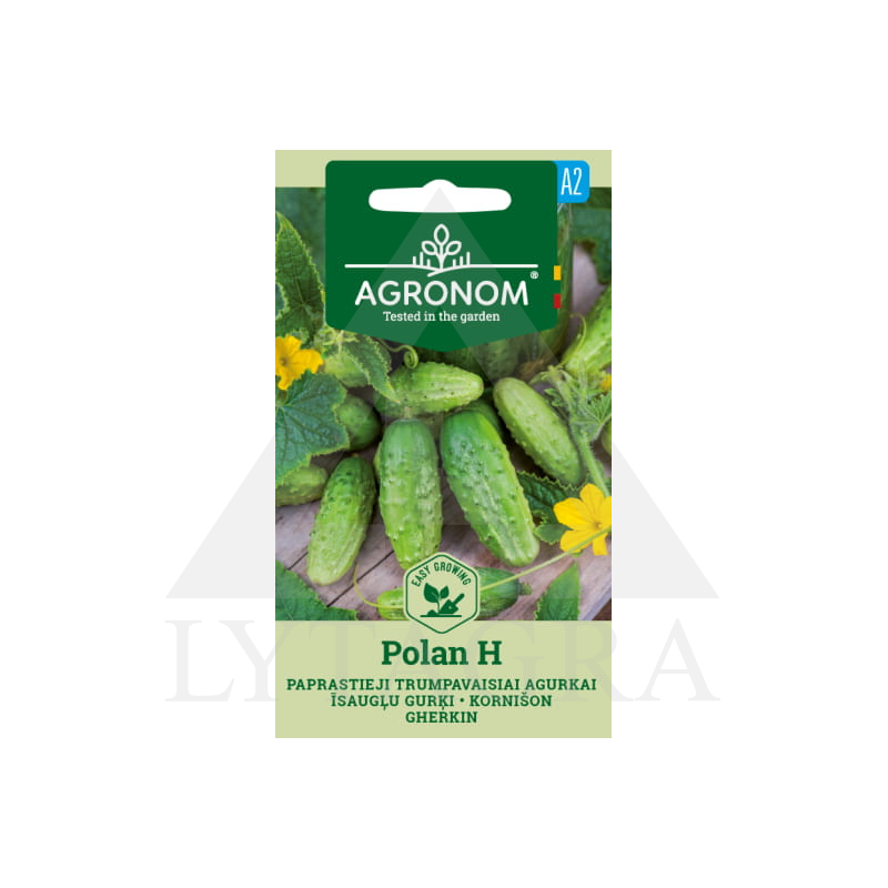 AGR GURĶU SĒKLAS POLAN 1G