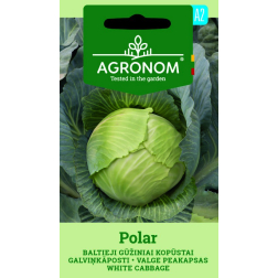 AGR KĀPOSTI  B.G POLAR 2G