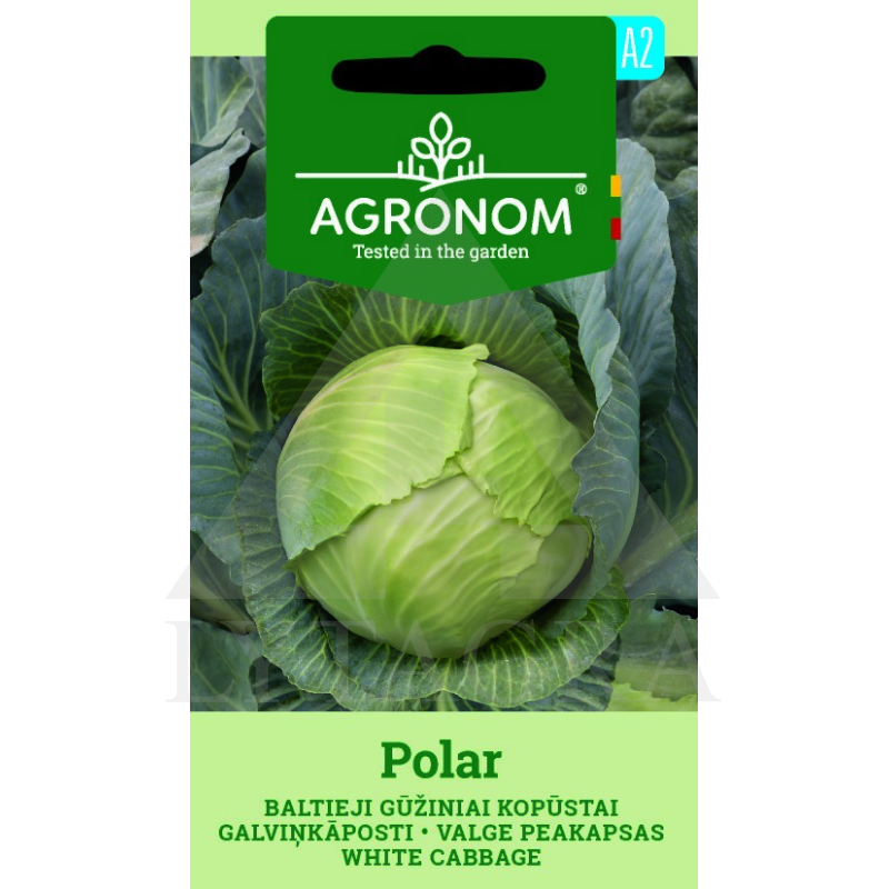 AGR KĀPOSTI  B.G POLAR 2G