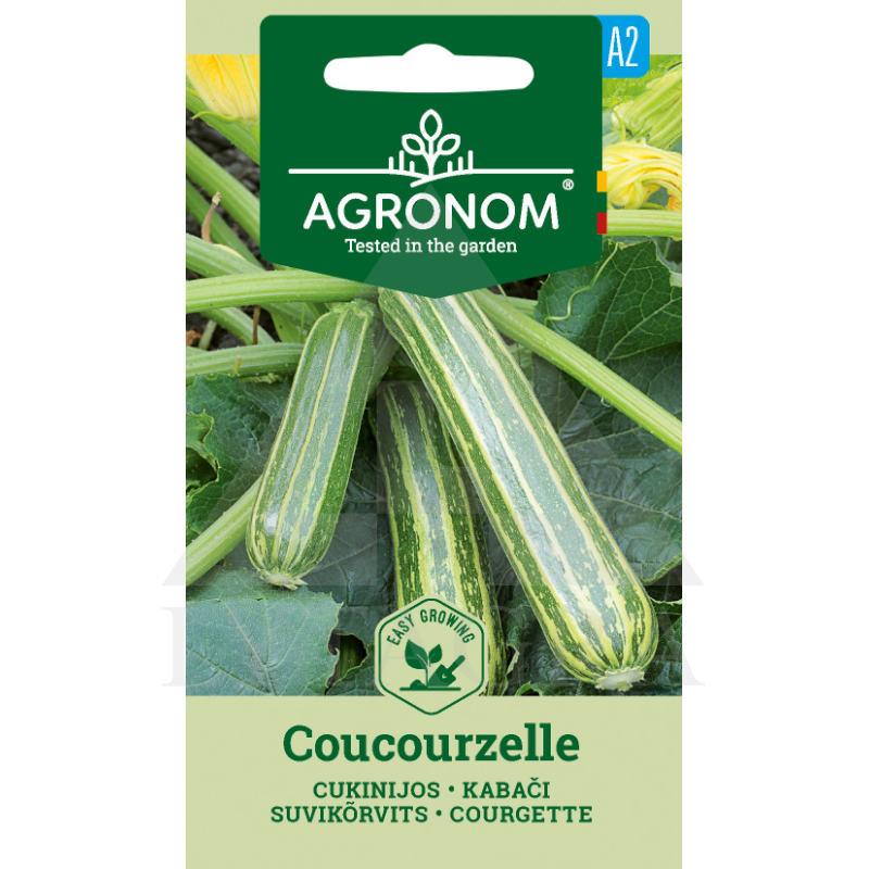 AGR CUKINI COCOUR ZELLE
