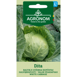 AGR KĀPOSTI WHITE CUS DITA