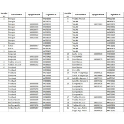 063090 KALTS KR./KVERNELAND/