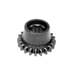 T25-1701004 ZOBRATS