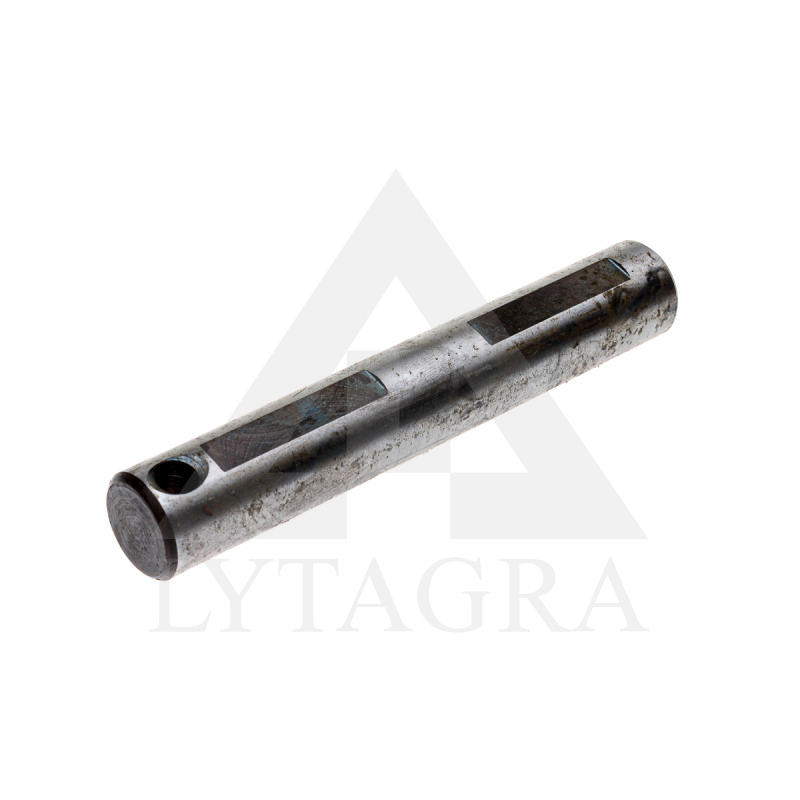 T25-2403062 ASS