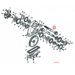 A25.39.106 ZOBRATS KREISAIS