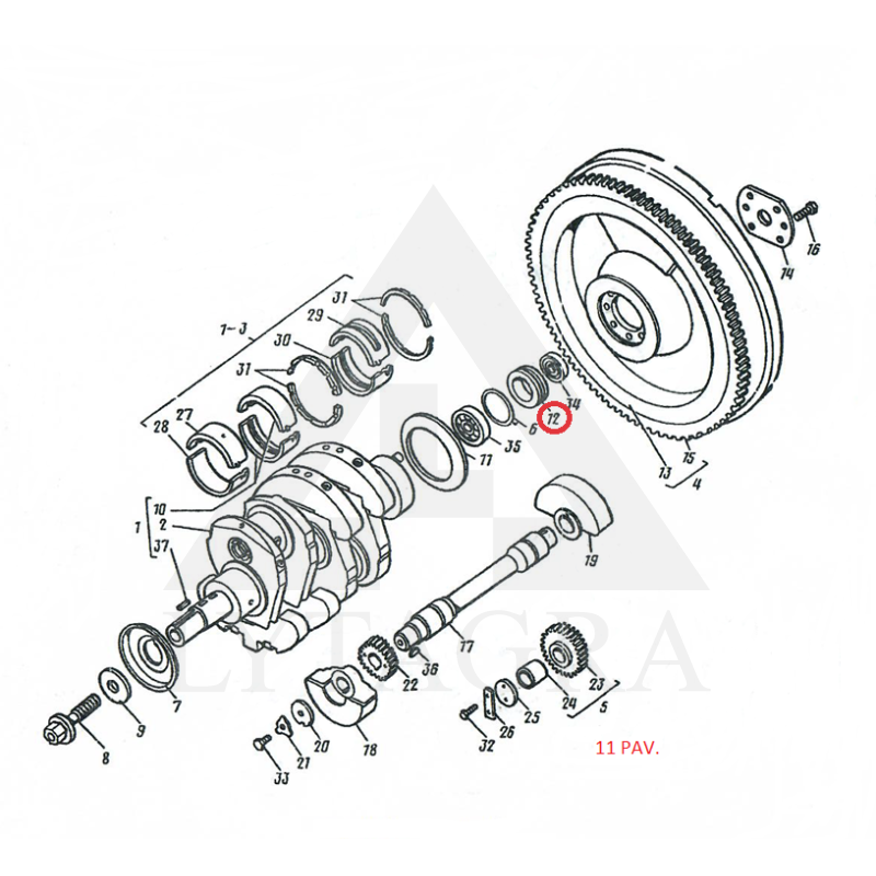 D30-1005256 LIGZDA