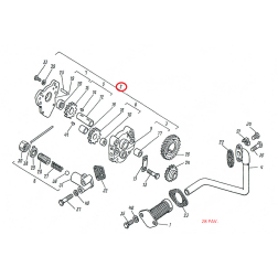 D21-1403010 EĻĻAS SŪKNIS T-25