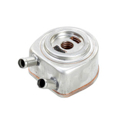 245-1017005 SILTUMMAINIS