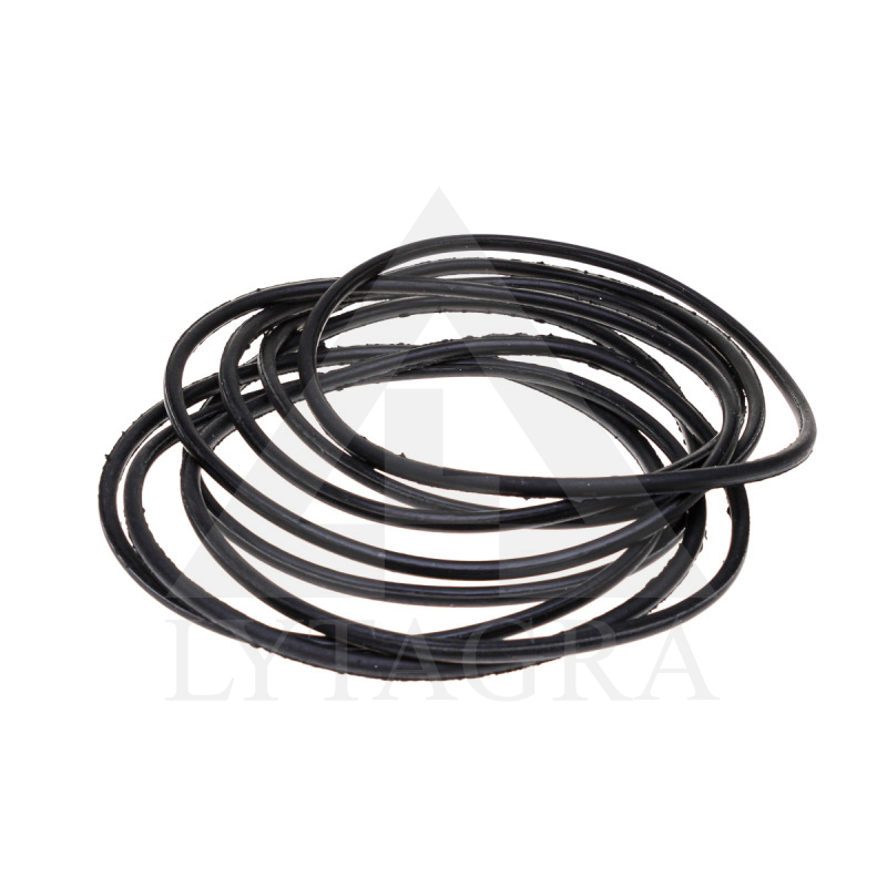 50-1002022 BLĪVGREDZENU K-TS (8gb) D-240