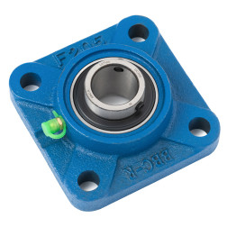 FGE 205 GULTNIS  UCF