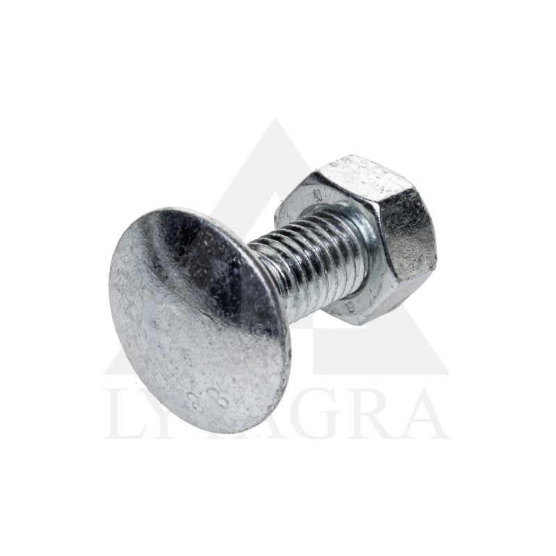 51-1025 SKRŪVE LAUKA D. M12X1.75X30 8.8