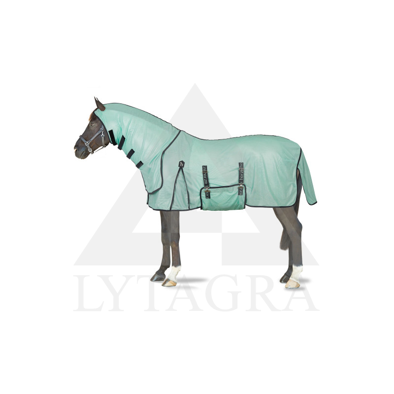24893-616-145 HORZE PASO FINO MUŠU SEGA AR KAPUCI