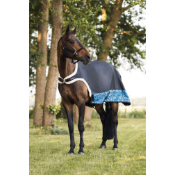 24429-089-165 HORZE QUEBEC WALKER LIETUS SEGA