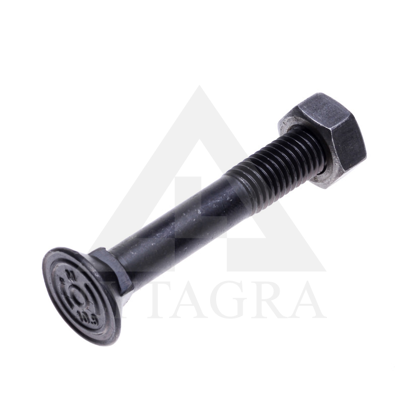 M12X80 SKRŪVE /RABE/ DIN608-10.9