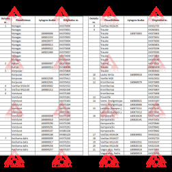 073614 AIZSARGS LAUKA DĒLIM L/K STORA80x12x2