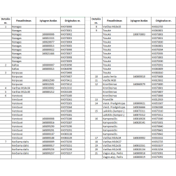 063090 F KALTS KR./70X13/ KVERNELAND