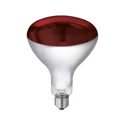 22245 SPULDZE APSILD.LAMPAI  250W SARKANA/KERBL/