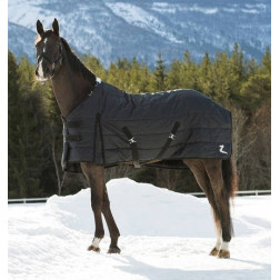 24573-BL-145 NEVADA 400 GR  STAĻĻA SEGA