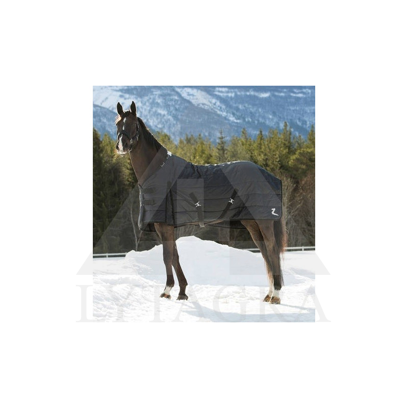24573-BL-145 NEVADA 400 GR  STAĻĻA SEGA