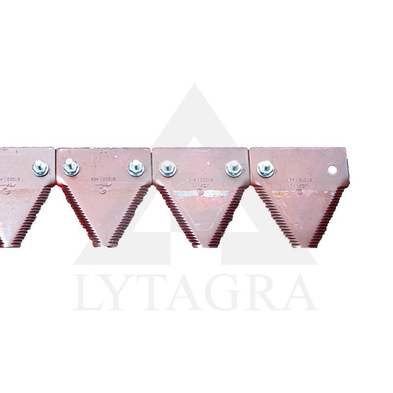 670450 IZKAPTS 6 MCLAAS