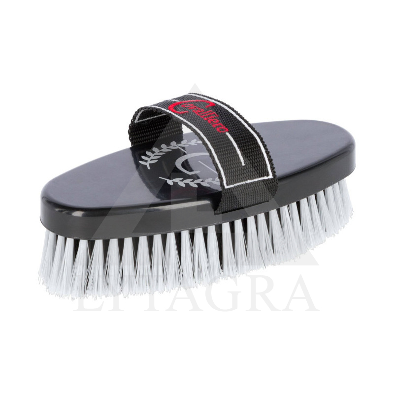 321660 BIRSTE BRUSH CO 20 CM