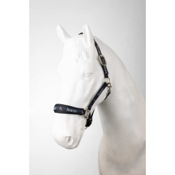 44E2V-584-00F PIETURA HORZE HUNTINGTON 44E2V-584-00F PIETURA HORZE HUNTINGTON