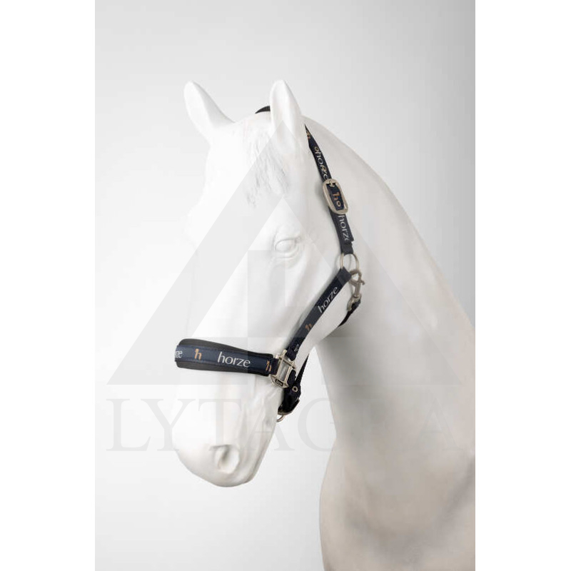 44E2V-584-00C PIETURA HORZE HUNTINGTON