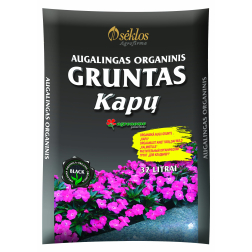 477016824095 AGR P AUGSNE KAPIEM 32L