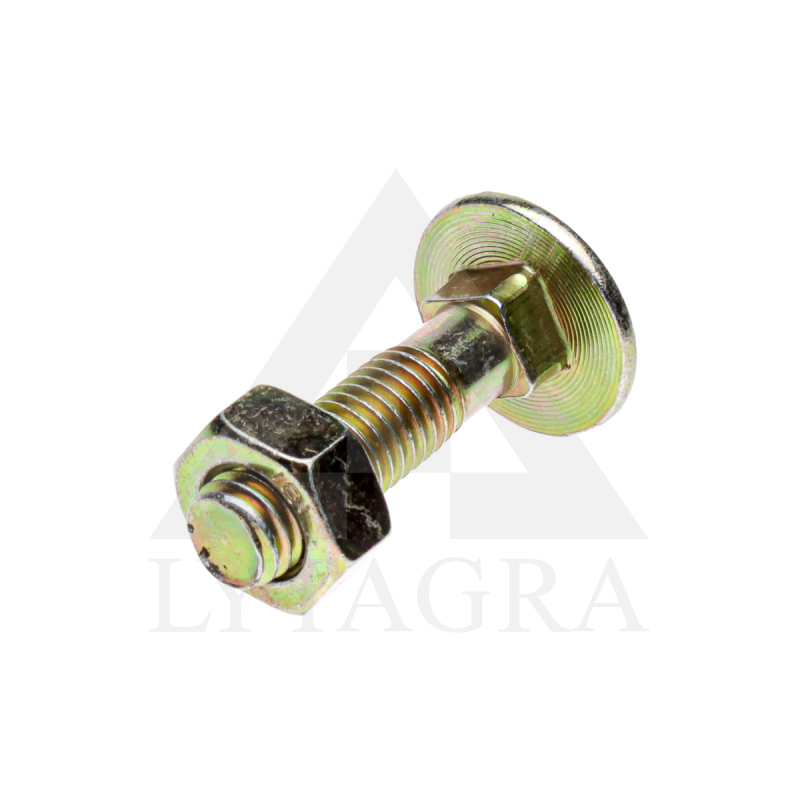 374892 SKRŪVE DIN603 M10X60 vai M10X40