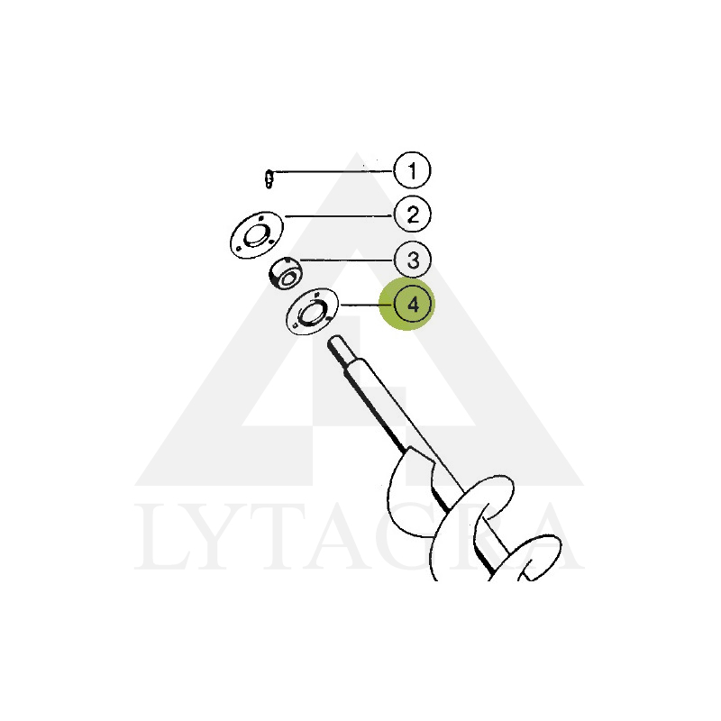 619288.0 ATLOKSCLAASCLAAS