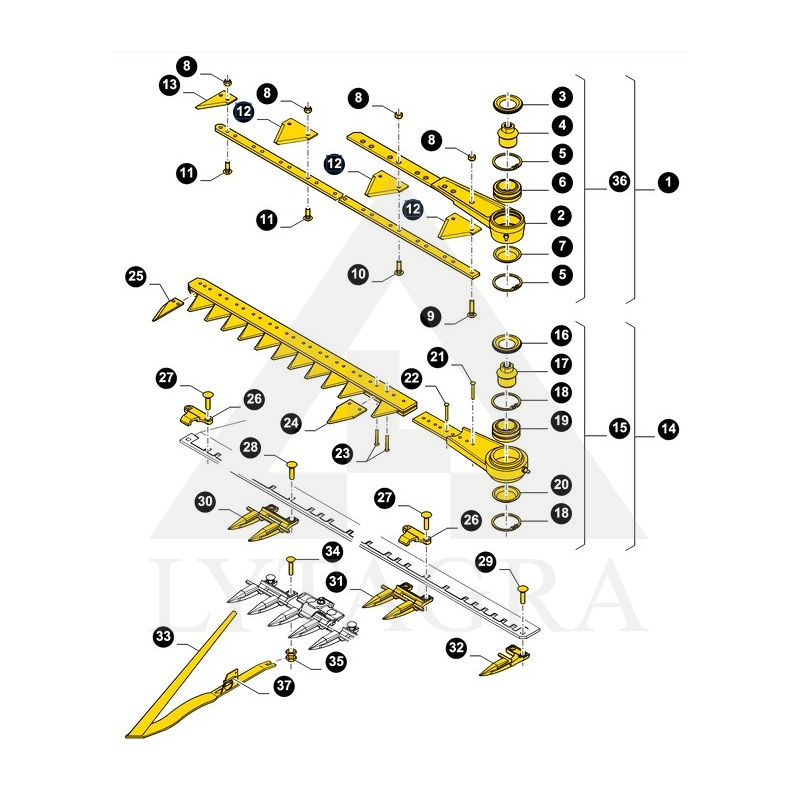 84429103 SEGMENTAS N.HOLLAND STAMBIAIS DANTIM