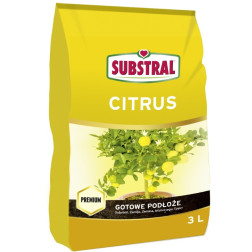 CITRUSU AUGSNES SUBSTRĀLS 3L