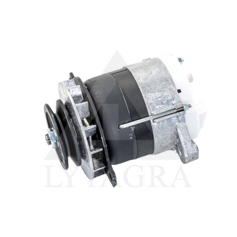 964.3701-1 ĢENERATORS (G-1000.08) 1000W