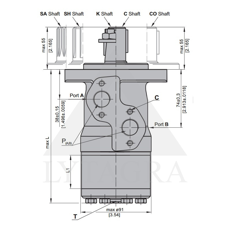 HIDROMOTORS BMP80 25MM 740APS/MIN 9.1KW