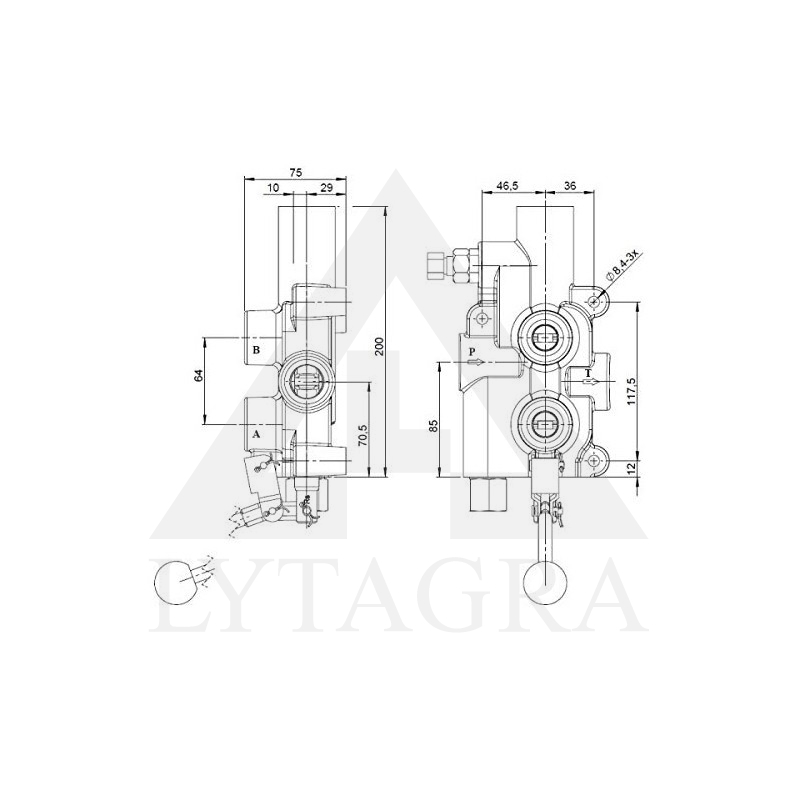 P81-RSG12 SADALĪTĀJS DIVPUS.DARB. 1 SEKC. 80L/MIN.