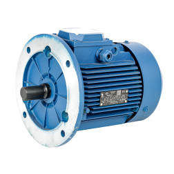Elektriskais trīsfāžu motors 3,0 kW / 3000 APS / FL